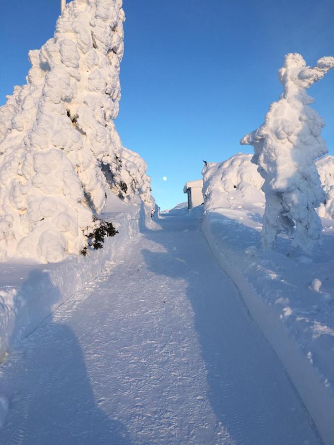 Sporthotel Rudolf Boží Dar Exteriér fotografie